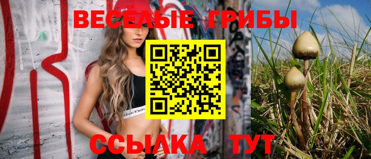 Курчалой  купить наркотик  Вход с VPN  Галлюциногенные грибы GOLDEN TEACHER 
