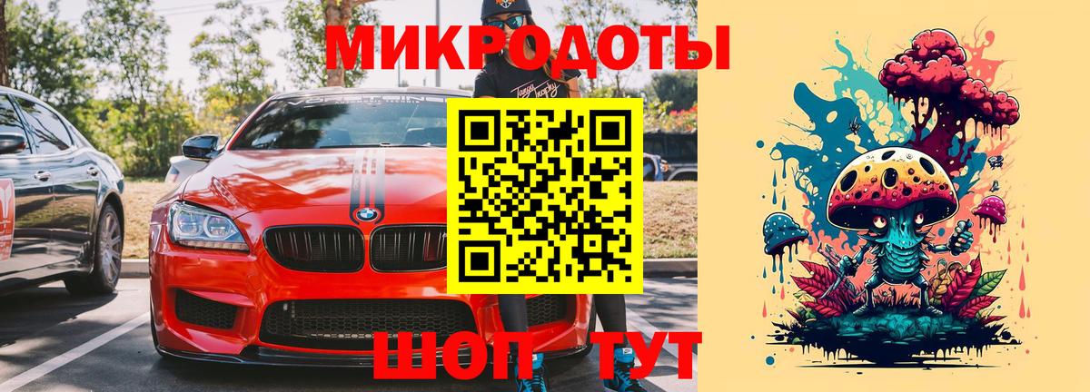 Галлюциногенные грибы GOLDEN TEACHER Курчалой